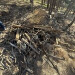 573448986 122106842931059970 2287669602923524113 n