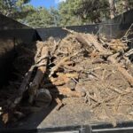 574060152 122106842907059970 617325370959023588 n