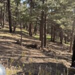 575089340 122107013439059970 5075578707531169218 n